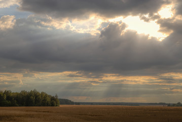 Sunny sky abstract background, beautiful cloudscape, on the heaven, view over white fluffy clouds, freedom concept