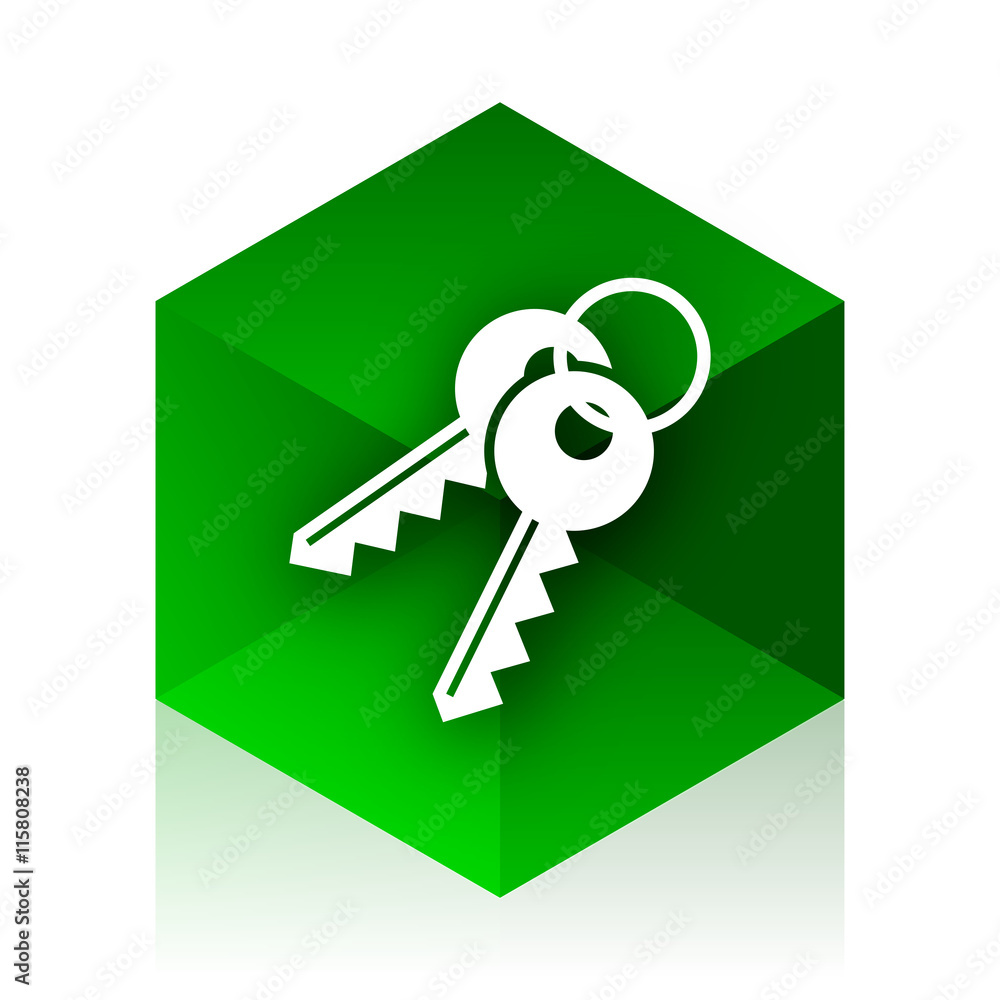 Poster keys cube icon, green modern design web element