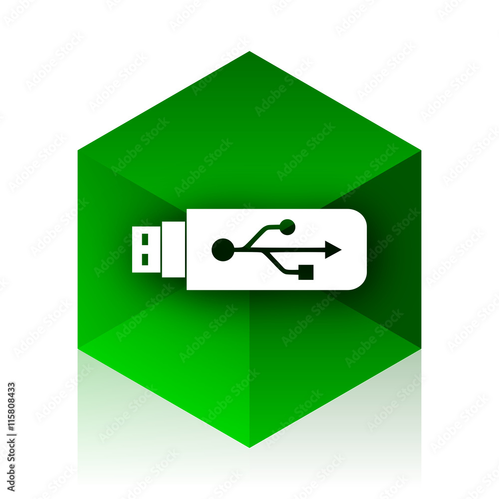 Poster usb cube icon, green modern design web element