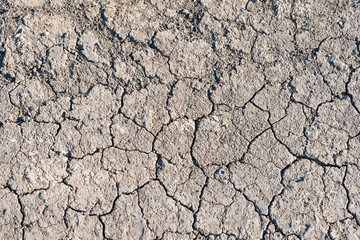 Dry cracked earth background, desert texture.