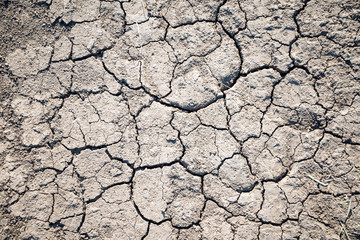 Dry cracked earth background, desert texture.