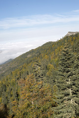 Naklejka premium Manzara