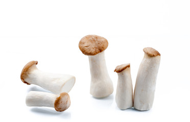 King Oyster mushroom (Eringi) on white backgroud.
