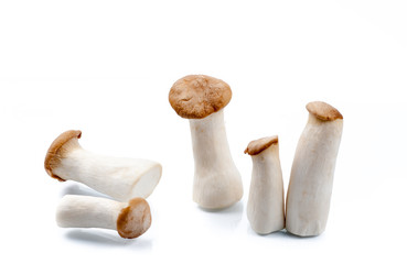 King Oyster mushroom (Eringi) on white backgroud.