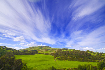 Landscape scenery of green valley with trees, hill and cloudy blue sky