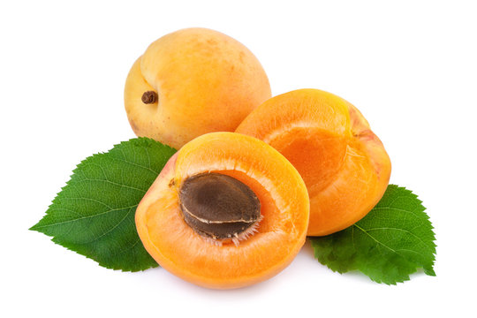 Apricot and half fruit with kernel on white background.