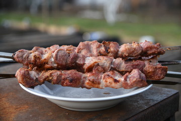 Juicy pork kebab on a plate 3.