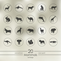 Set of mammals icons © palau83