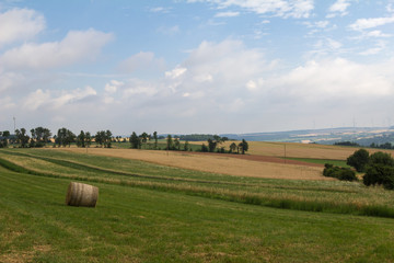 Summer Landscape