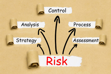 Risk Concept
