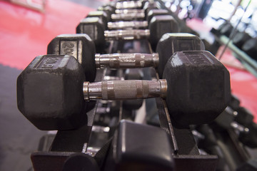 Obraz premium dumbell
