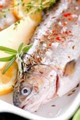 Detail of trout in ceramic pan with rosemary and buter with lemon