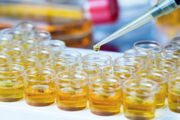 Pipette with drop of reagent into tubes during examination in a pharmaceutical laboratory /...