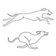 Contour vector image of running dogs whippet breed, two poses - obrazy, fototapety, plakaty