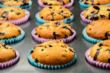 Blueberry muffins in black form.