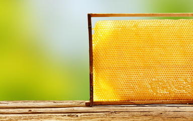 Tray of waxed honeycomb from a hive
