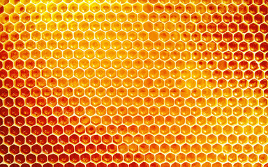 Background texture and pattern of honeycomb - 115822404