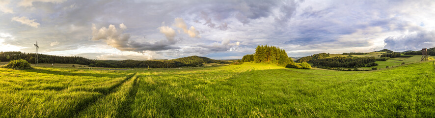 rural Eifel landscape with forest and green meadow