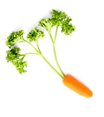 Fresh baby carrot with leaves on white background