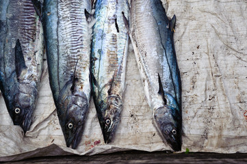 Fresh raw fish on the street market in India