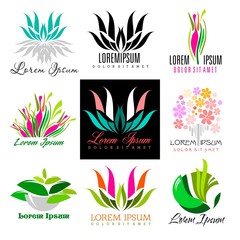 Ecology, bio, flowers logo set - Isolated On Background - Vector illustration, Graphic Design, Editable For Your Design