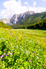 Fototapeta premium Picturesque Tatra Mountain scenery in the Tatrzanski National Park, Poland.