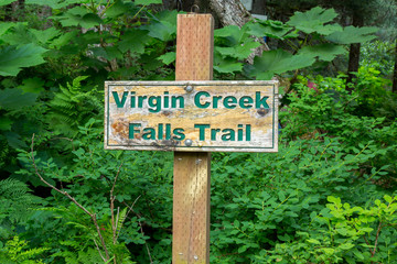 Virgin Falls in Alaska