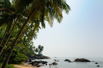 Fototapeta na wymiar Beautiful tropical beach resort in India. Surrounded by coconut