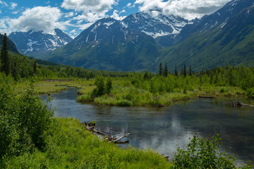 Naklejka na ściany i meble Eagle River Nature Center in Alaska