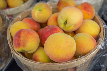 Basket Succulent Peaches