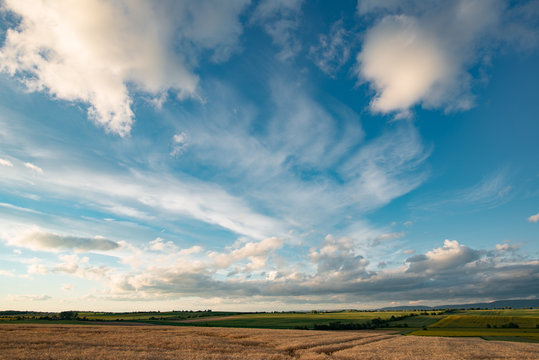 Landscape, agricultural wheat field and dramatic blue sky