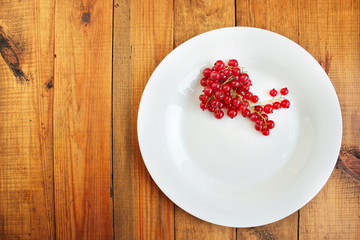 Berries of a red currant on the white plate
