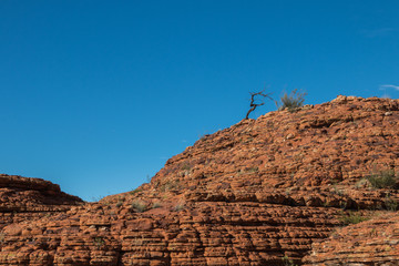 Australia, Kings Canyon, Northern Territory 