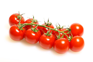 Panicle with tomatoes