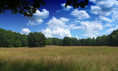 Sunny day near Zahradky village