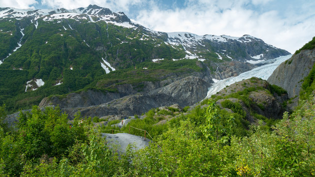 Exit Glacier in Seward Alaska