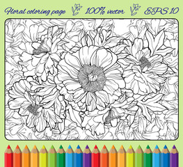 many flowers in a frame with pencils.
