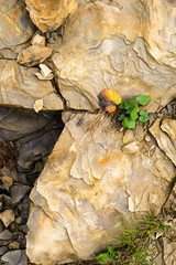 Laminated rocky surface from the riverbank of the mountain river