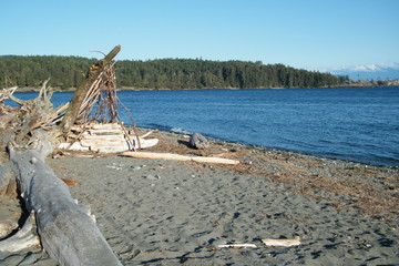 Driftwood Shelter on a Sandy Beach