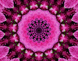 a floral kaleidoscope pattern in shades of pink, purple and green