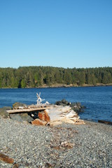 Driftwood Shelter on a Rocky Beach