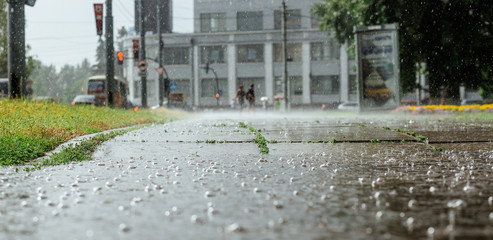 Wide picture of bubbles in a puddle  rain during  heavy 