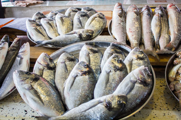 fresh fish in different sizes laying on a table