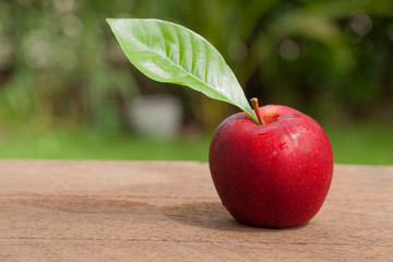 Red appleon wooden, Natural background