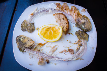 Scraps of fried fish