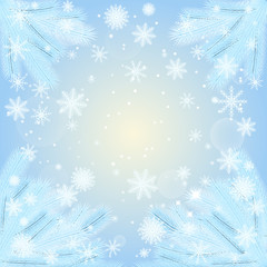 Fototapeta na wymiar vector illustration. Christmas background with fir branches covered with hoar-frost, with snowflakes