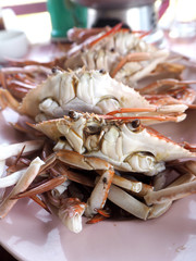 Steamed crabs seafood of Thailand