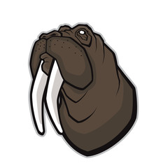Walrus head mascot