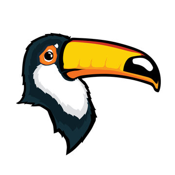 Toucan bird head mascot