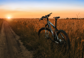 Fototapeta na wymiar Mountain bike in field at sunset